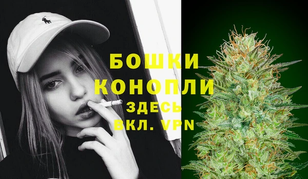 марки lsd Белокуриха