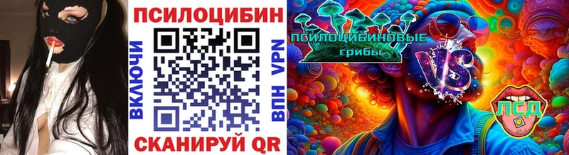 цена Игра Псилоцибиновые грибы Psilocybine cubensis